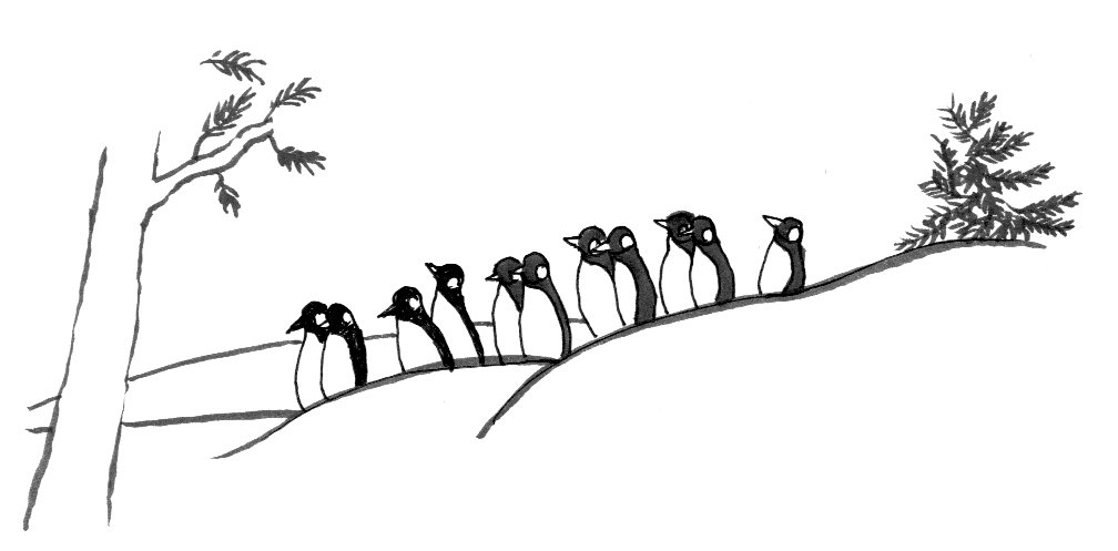 キャリアカエル